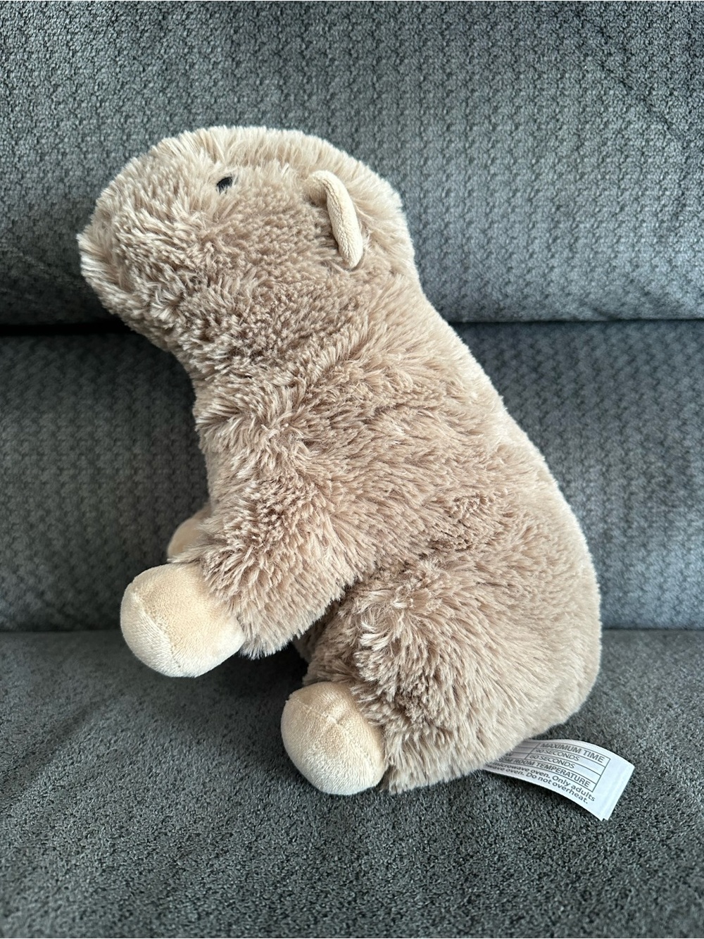 NWOT Capybara warmie